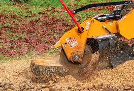 Best Hazardous Tree Removal  in Hope Valley, RI
