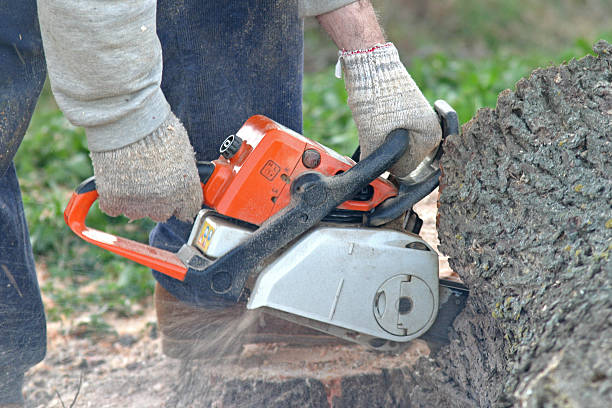 Best Aeration Services  in Hope Valley, RI