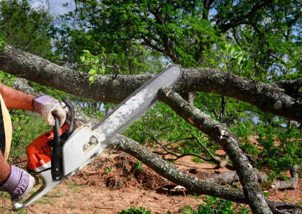 Lawn Pest Prevention in Hope Valley, RI